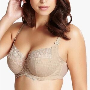 PANACHE Sz 36J Envy Lace Trim Bra in Chai NEW Underwire Adjustable Straps Back